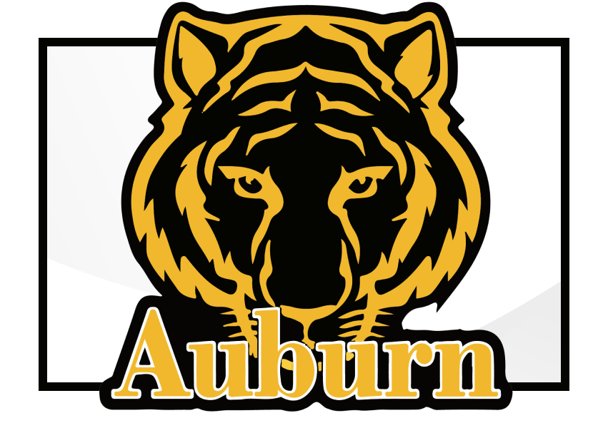 tiger logo within a black frame box